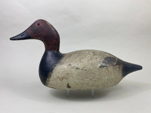 Evans Mammoth Grade Canvasback Drake (#8910)