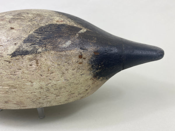 Evans Mammoth Grade Canvasback Drake (#8910)