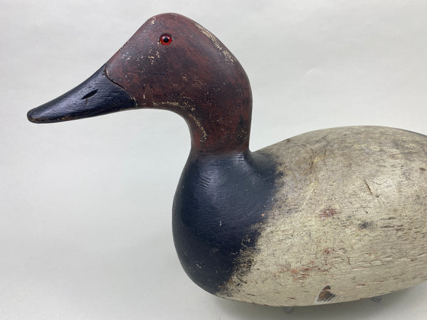 Evans Mammoth Grade Canvasback Drake (#8910)