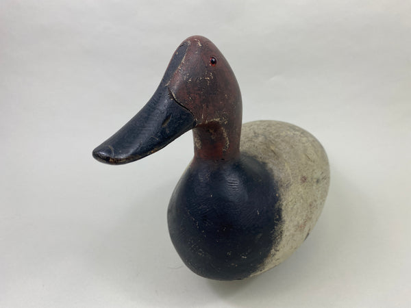 Evans Mammoth Grade Canvasback Drake (#8910)