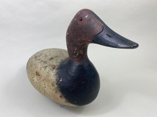 Evans Mammoth Grade Canvasback Drake (#8910)