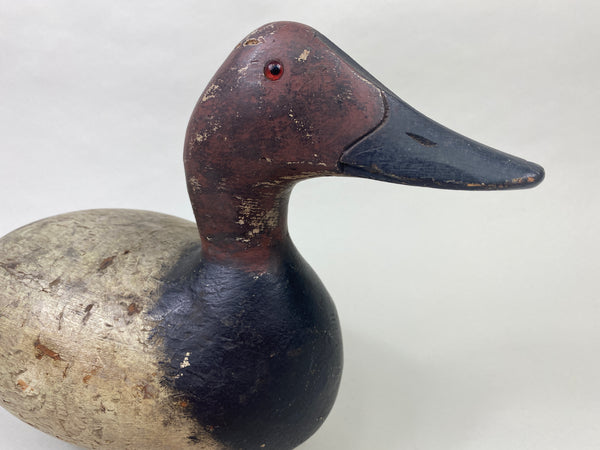 Evans Mammoth Grade Canvasback Drake (#8910)