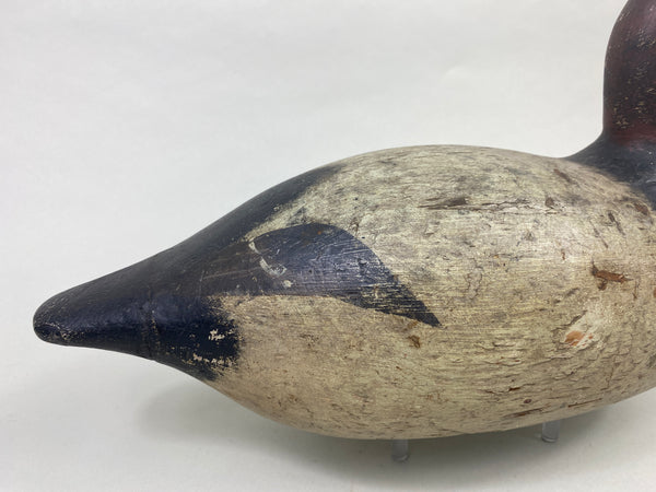 Evans Mammoth Grade Canvasback Drake (#8910)