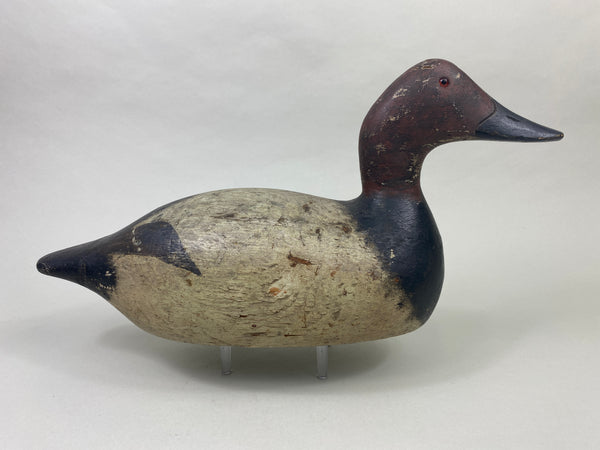 Evans Mammoth Grade Canvasback Drake (#8910)