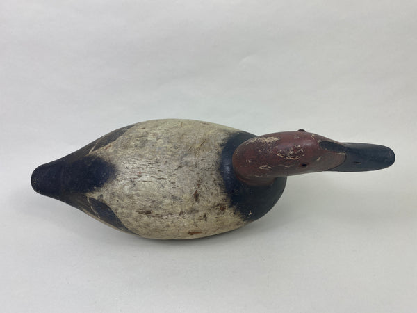 Evans Mammoth Grade Canvasback Drake (#8910)