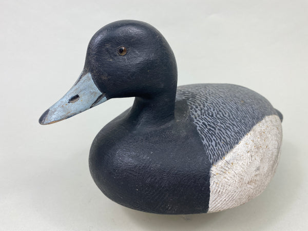 Echsted Bluebill Drake (#8913)