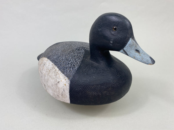 Echsted Bluebill Drake (#8913)