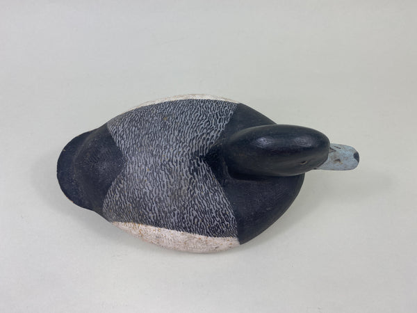 Echsted Bluebill Drake (#8913)