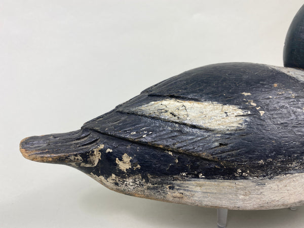 Unknown Canadian Goldeneye (#8914)