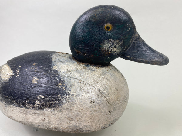 Unknown Canadian Goldeneye (#8914)