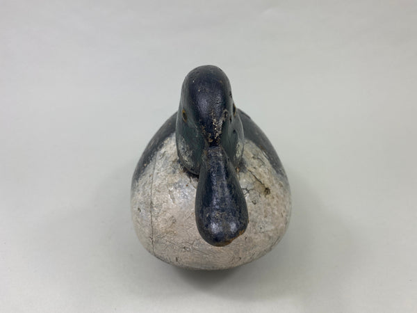 Unknown Canadian Goldeneye (#8914)