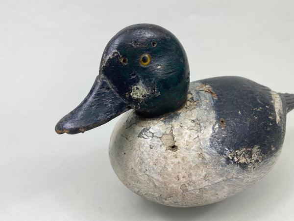 Unknown Canadian Goldeneye (#8914)