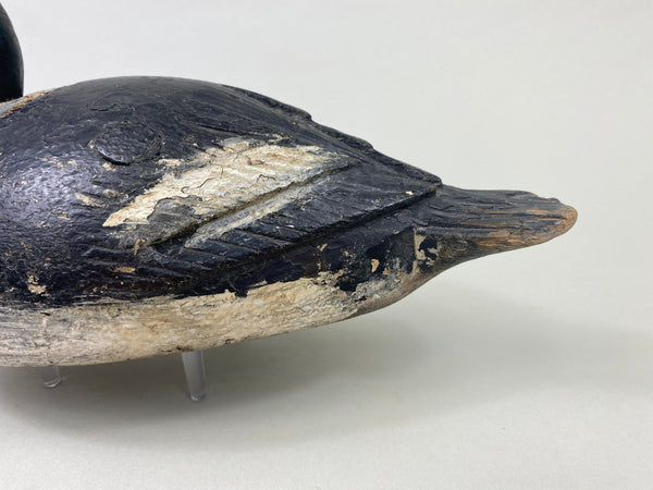 Unknown Canadian Goldeneye (#8914)