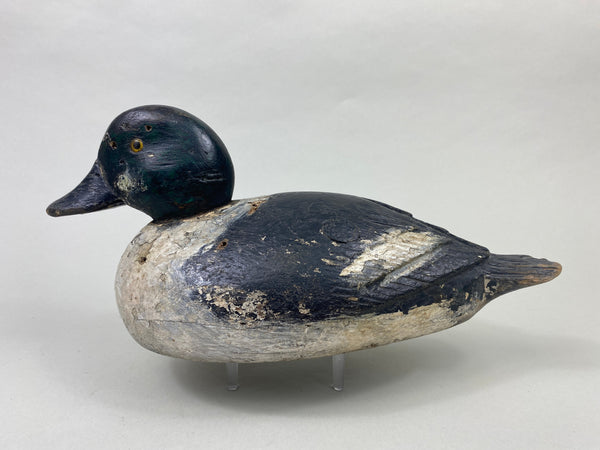 Unknown Canadian Goldeneye (#8914)