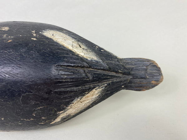 Unknown Canadian Goldeneye (#8914)