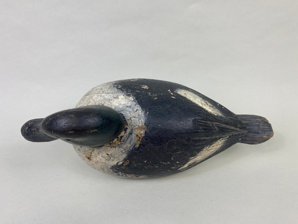 Unknown Canadian Goldeneye (#8914)