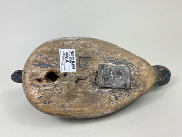 Unknown Canadian Goldeneye (#8914)