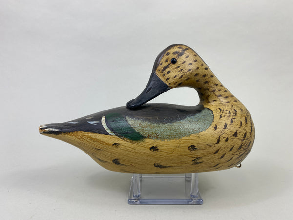 Jim Slack Hen Teal (#8918)