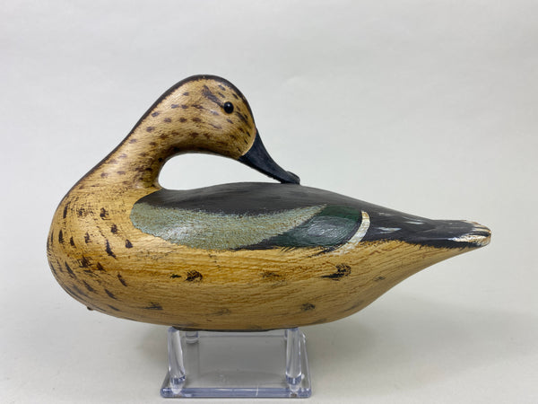 Jim Slack Hen Teal (#8918)