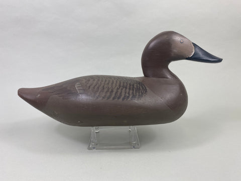Paul Gibson Canvasback Hen (#8921)