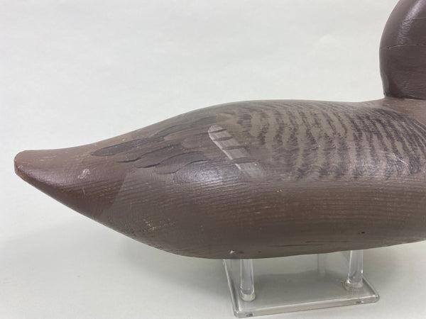 Paul Gibson Canvasback Hen (#8921)