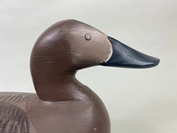 Paul Gibson Canvasback Hen (#8921)