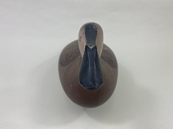 Paul Gibson Canvasback Hen (#8921)