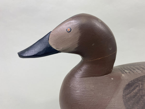 Paul Gibson Canvasback Hen (#8921)