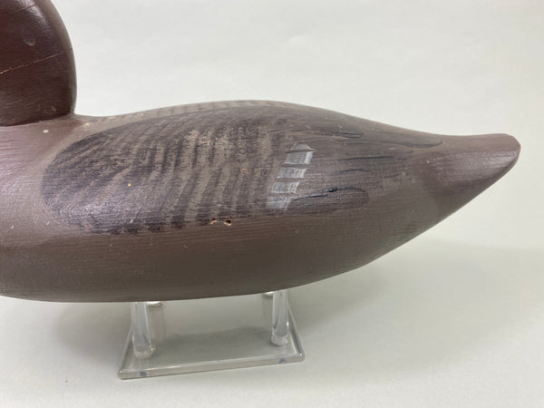 Paul Gibson Canvasback Hen (#8921)