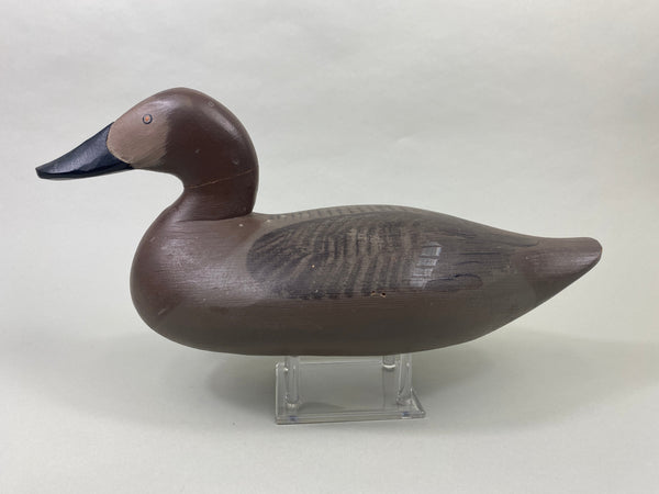 Paul Gibson Canvasback Hen (#8921)