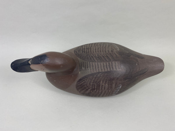 Paul Gibson Canvasback Hen (#8921)