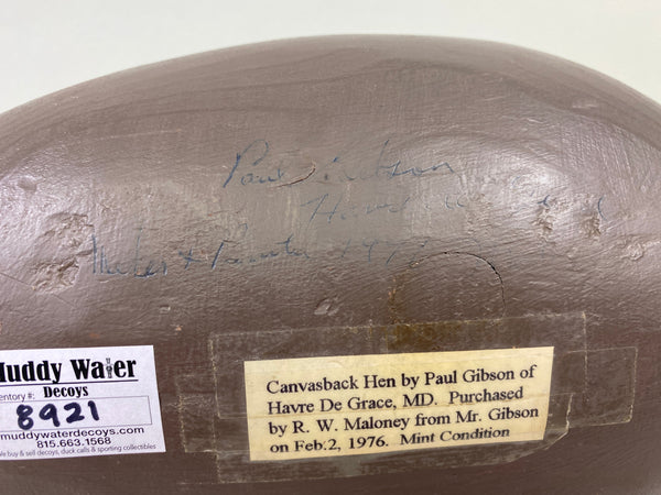Paul Gibson Canvasback Hen (#8921)
