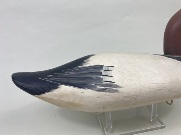 Jim Pierce Canvasback Drake (#8922)