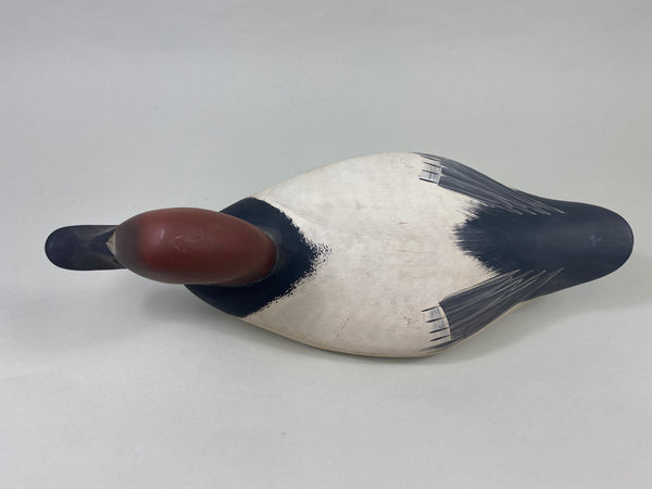 Jim Pierce Canvasback Drake (#8922)