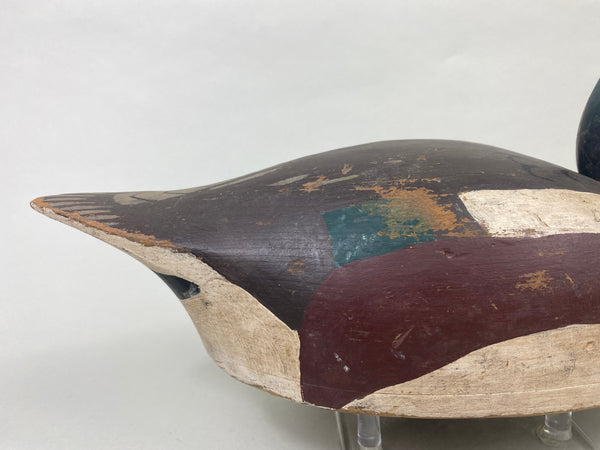 Wildfowler Point Pleasant Widgeon Drake (#8923)