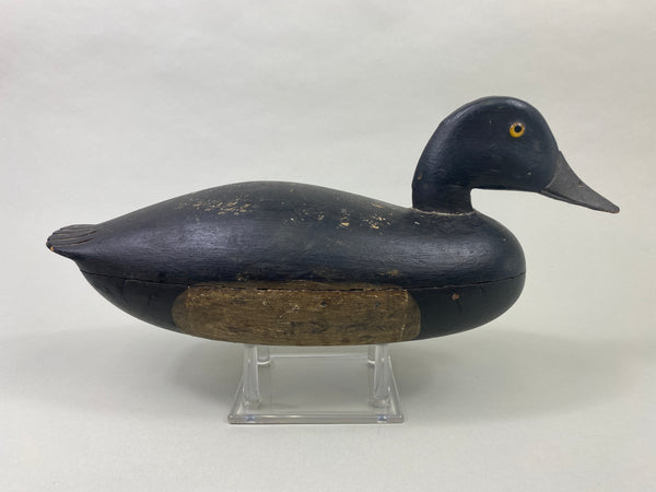 English Family Delaware River Bluebill Drake, Circa 1920's (#8924)