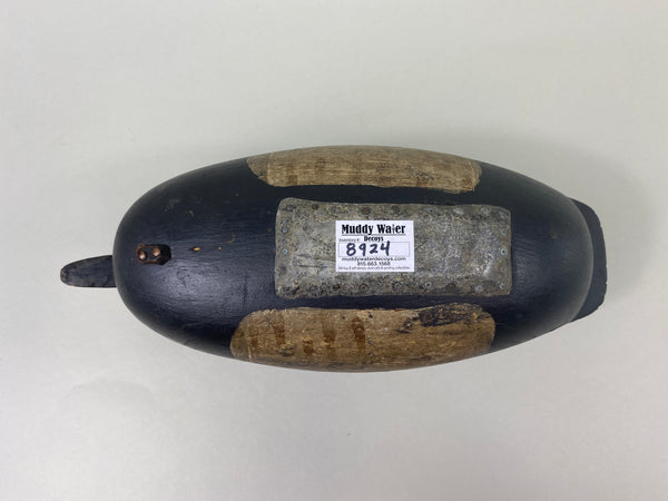 English Family Delaware River Bluebill Drake, Circa 1920's (#8924)