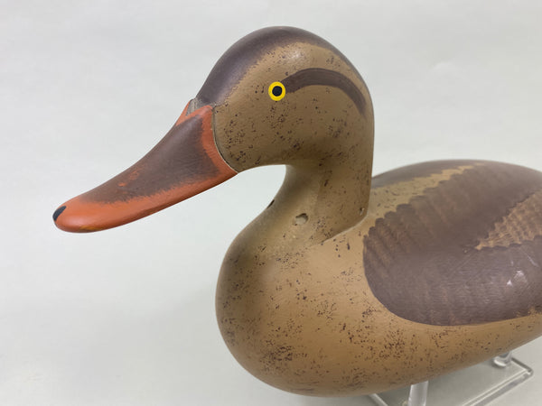 Capt. Harry Jobes Mallard Hen (#8926)