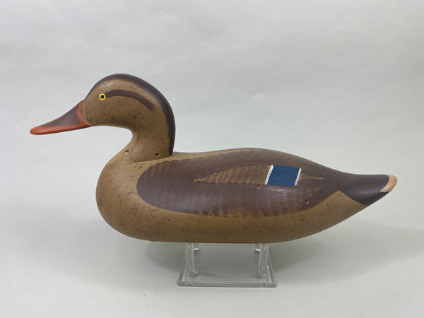 Capt. Harry Jobes Mallard Hen (#8926)