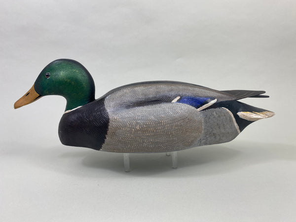 Torry Ward Mallard Drake (#8929)