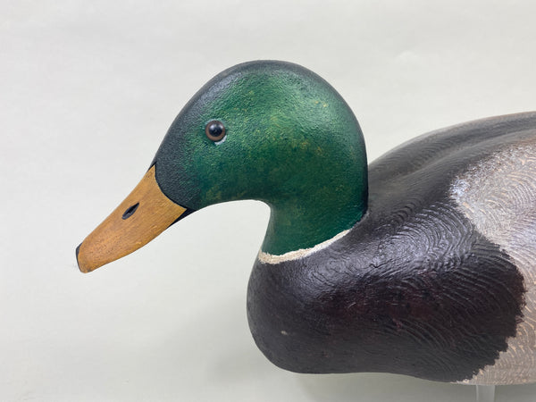 Torry Ward Mallard Drake (#8929)