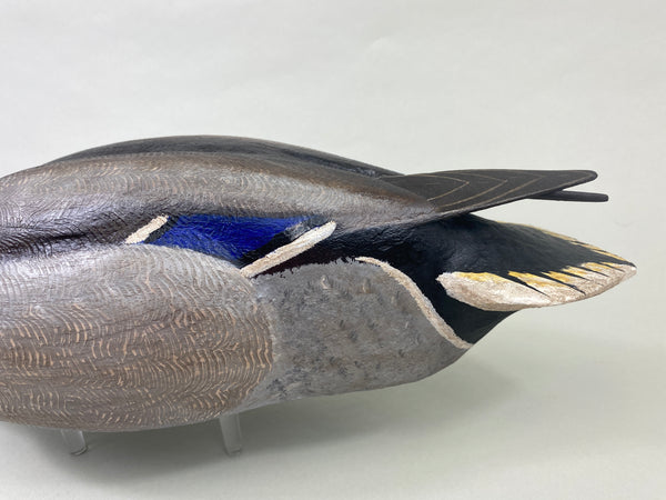 Torry Ward Mallard Drake (#8929)