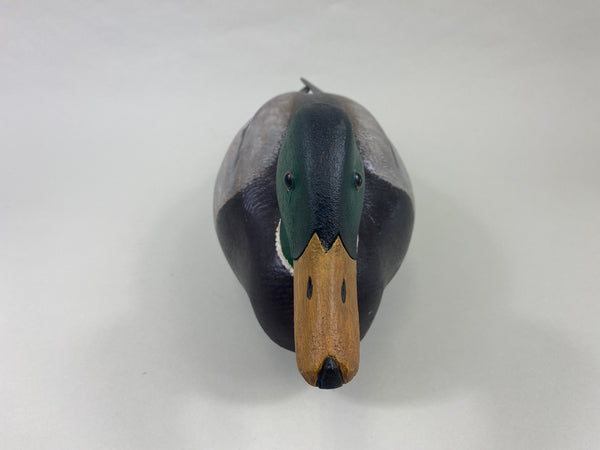 Torry Ward Mallard Drake (#8929)