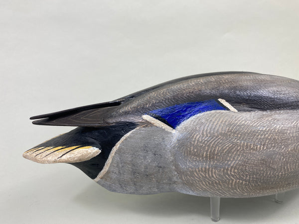 Torry Ward Mallard Drake (#8929)