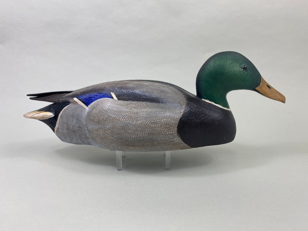 Torry Ward Mallard Drake (#8929)