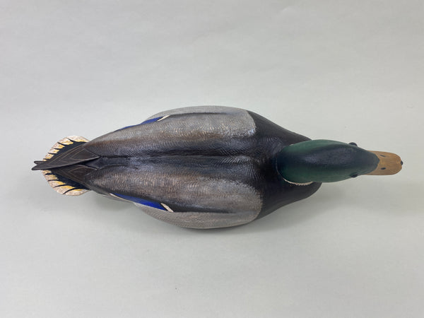 Torry Ward Mallard Drake (#8929)