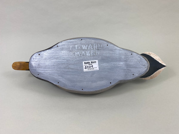 Torry Ward Mallard Drake (#8929)