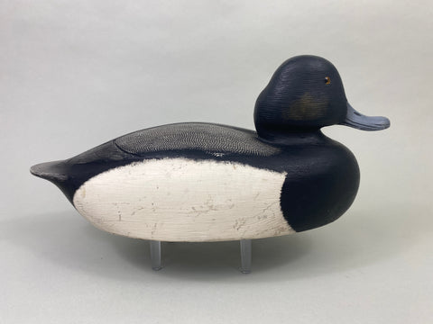 Ken Anger Bluebill Drake (#8935)