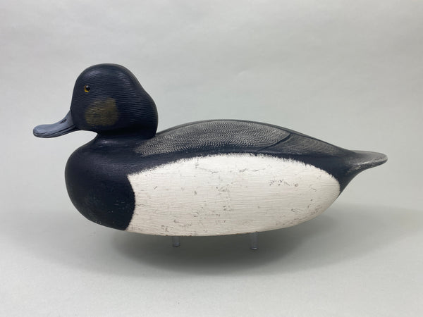 Ken Anger Bluebill Drake (#8935)