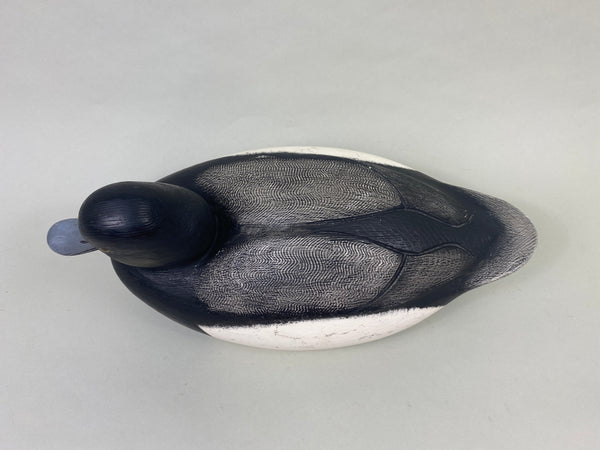 Ken Anger Bluebill Drake (#8935)